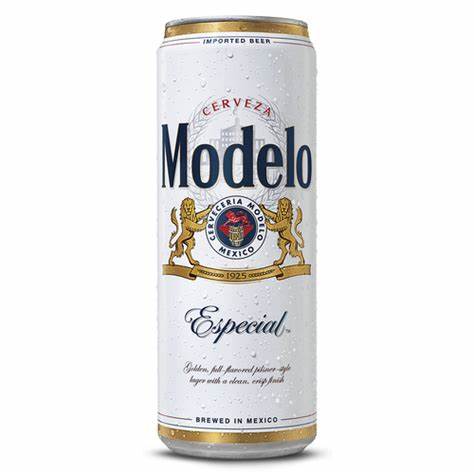 MODELO ESPECIAL